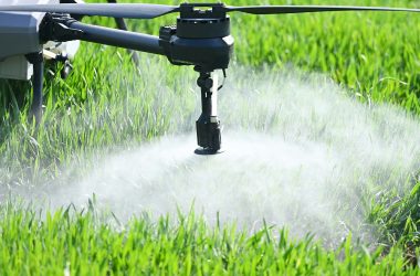 Spray drone releasing chemicals on crops or grass