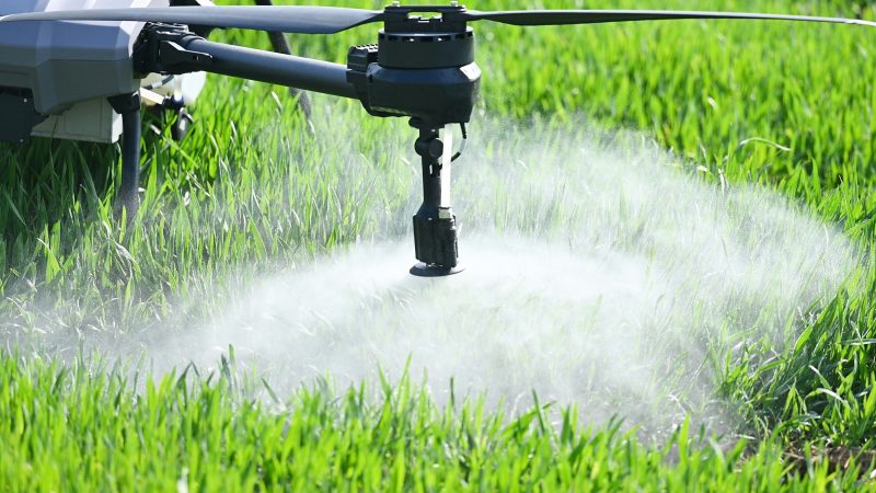 Spray drone releasing chemicals on crops or grass