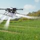 Drone spraying pesticide on a wheat field.